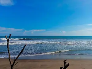 Pantai Tiram