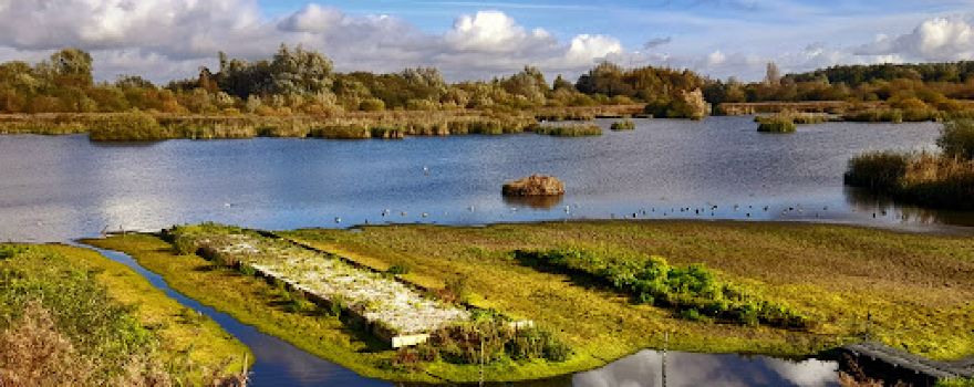 Woolston Eyes SSSI
