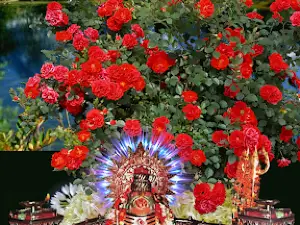 Dada Darbar Saikheda