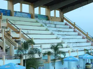 Swimming Pool Veteran