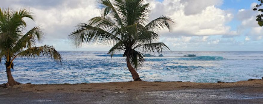 Los Tubos Surf Beach