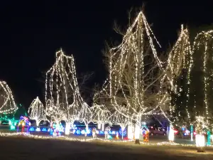 Shannon Springs Park