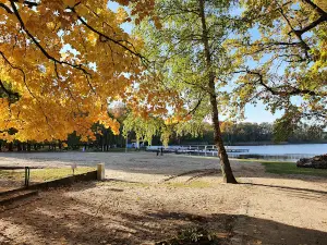 Park Wolsztyński