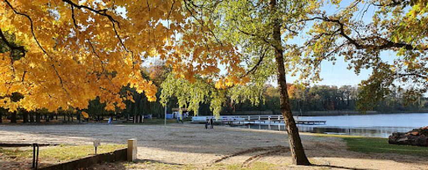 Park Wolsztyński