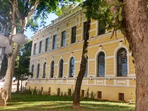 Bosque Maria Thereza