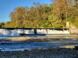 Williams Dam Public Fishing Area