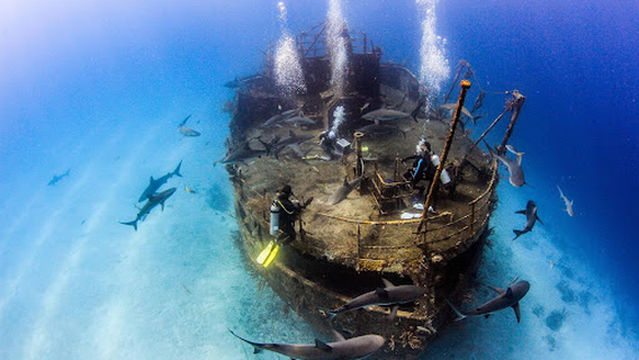 Made in Water Excursions - Snorkelling, Underwater photos and Diving in Bahamas