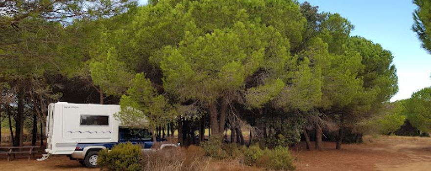 Aire de picnic