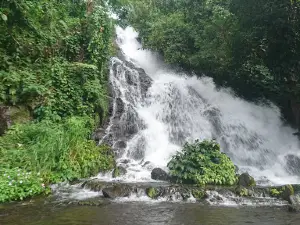 AIR TERJUN KUPITAN WONOREJO