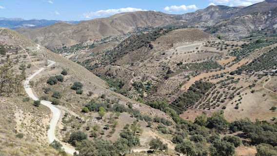 Area Recreativa Los Llanos