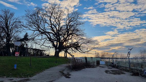 Silistra