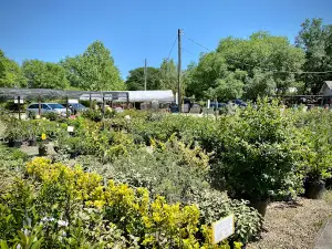 Pine Hills Nursery