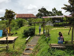 Yumin’s Farm
