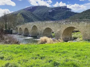 Camping Río Nela