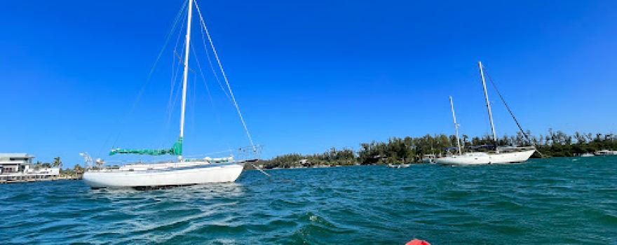 Happy Paddler Kayak Tours & EcoVentures