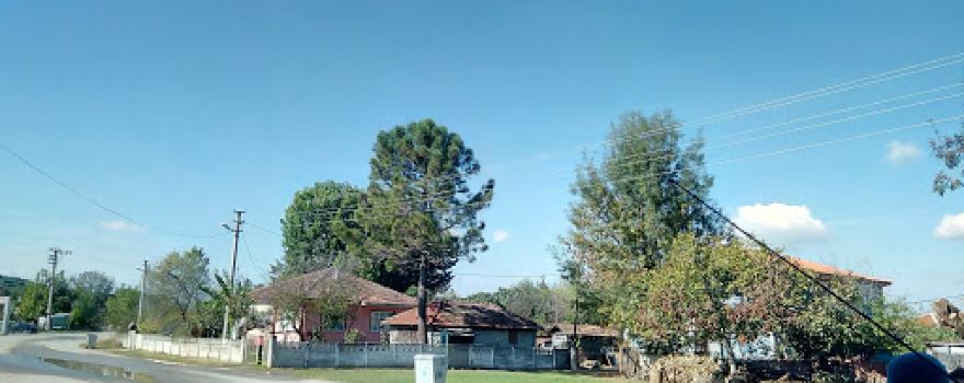 Mehmetçik Koruluğu