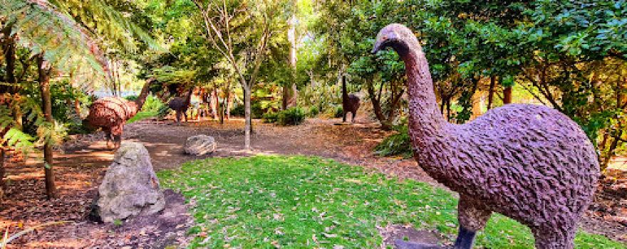 Kowhai Park Family Playground