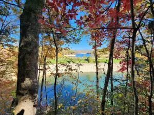 Turkey Creek Campground