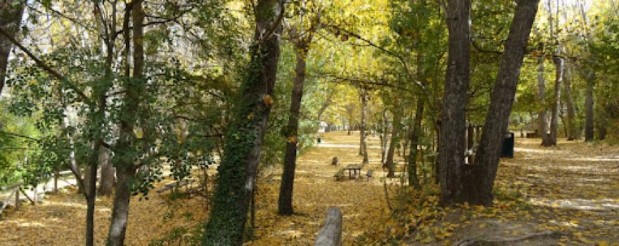 Área recreativa Molí L'Ombria