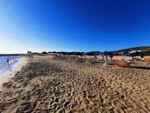 皮爾加基海灘