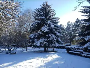Ahmet Uslu Dutluk Parkı