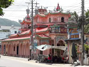 Cây Dầu