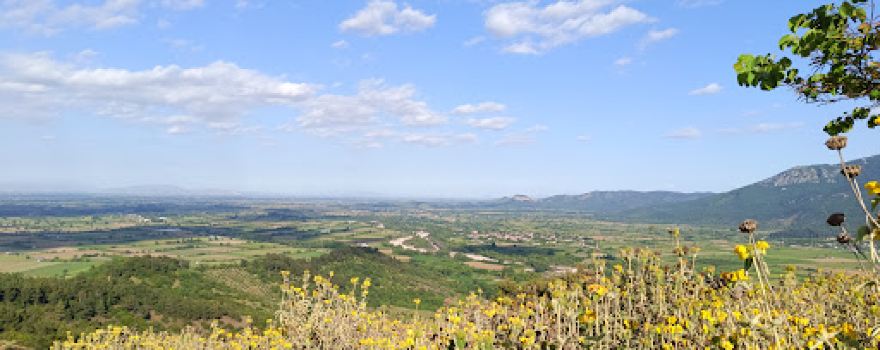 Γόμφοι Trail
