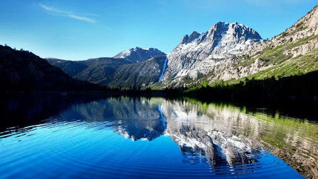 Plaza Aves Australes