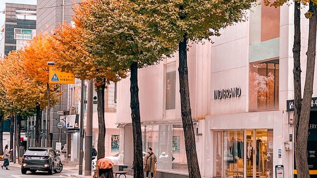 SinsaDong
