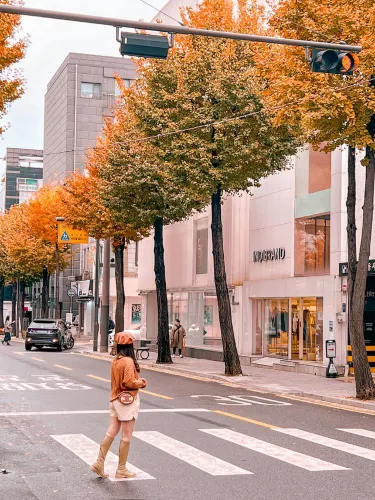 신사동