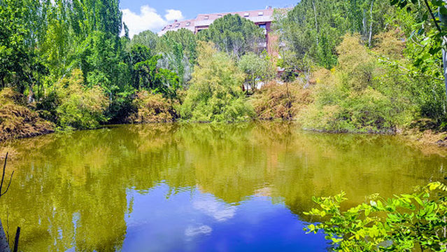 Parque de las Tres Culturas