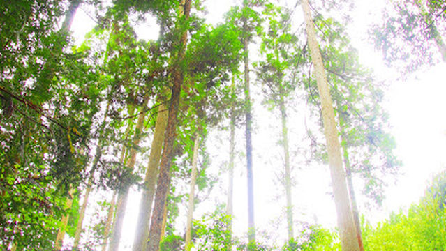 Nabegataki Falls Park