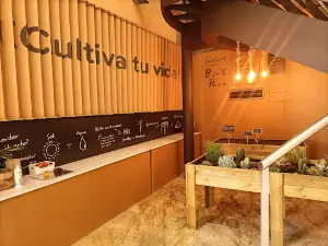 Planeta Huerto