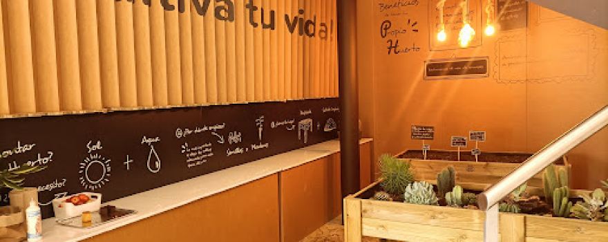 Planeta Huerto