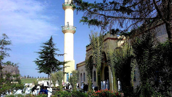 Senafe Central Mosque