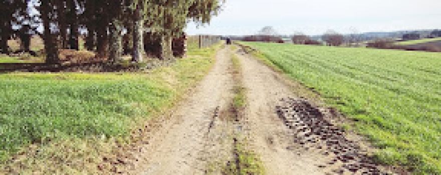 Adventure Bjelovar Quad - off road