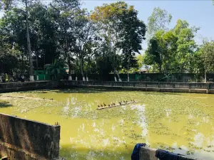 Shitesh Babu's Zoo