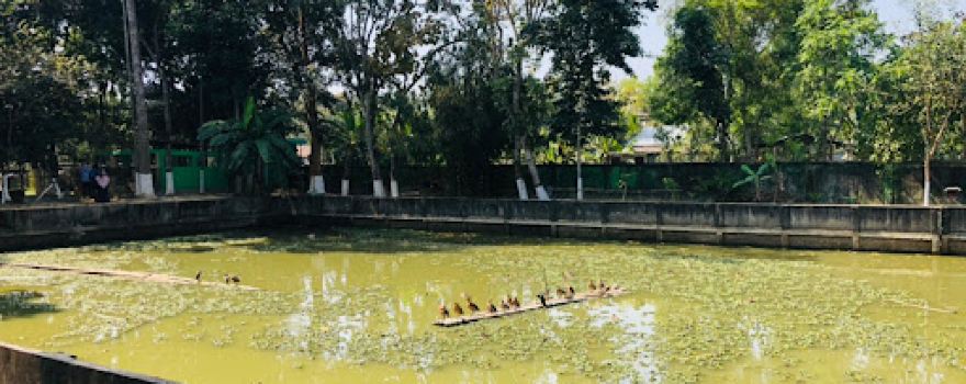 Shitesh Babu's Zoo