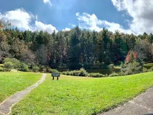 Little Glade Mill Pond