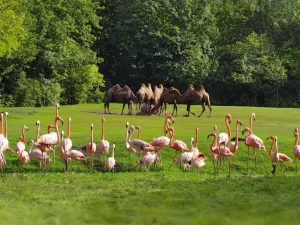 Zoo de Berlin