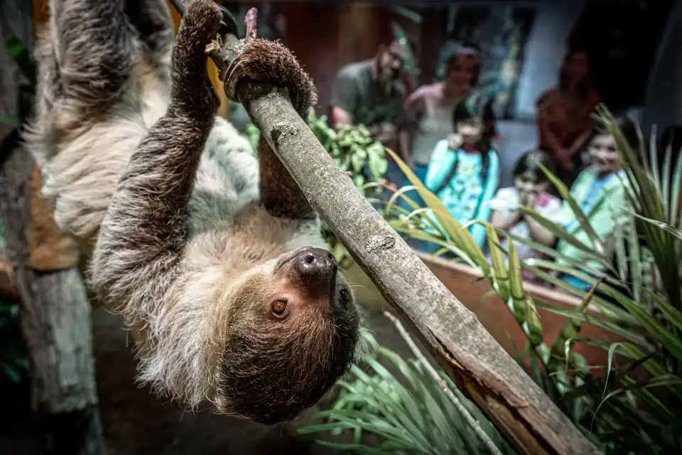3_Canadian Museum of Nature