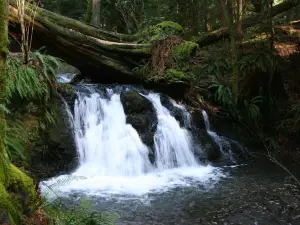 Moran State Park