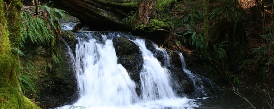Moran State Park