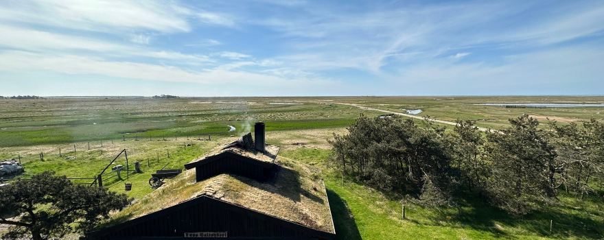 Laesoe Saltsyderiet