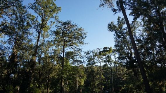 Bohol IslandExperiences