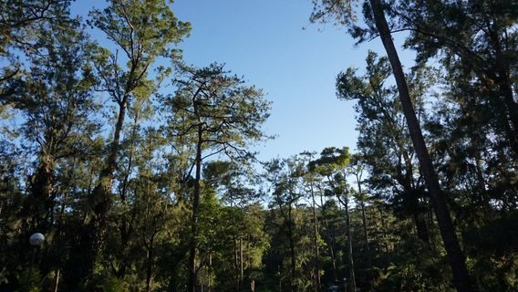 El Nido
