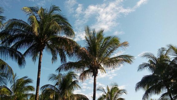 Parque Municipal Horto de Maruipe