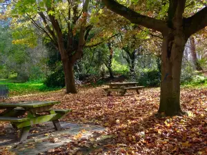 Парк Аггломерасьон дю Фор Луи