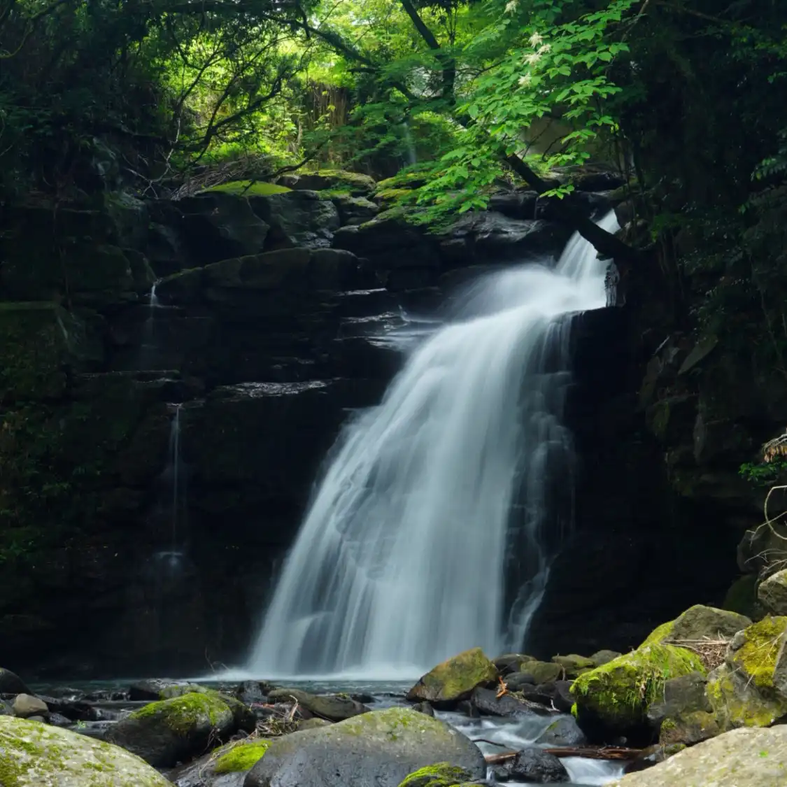 Hotels near Meoto Falls