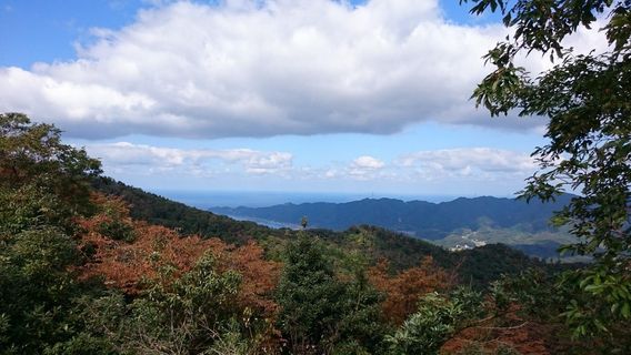 Izumo
